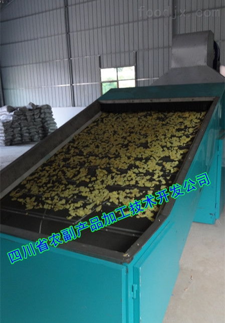 小型糖姜片設(shè)備軟件開發(fā)助力四川農(nóng)副產(chǎn)品加工升級